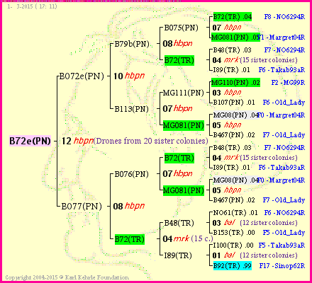 Pedigree of B72e(PN) :
four generations presented