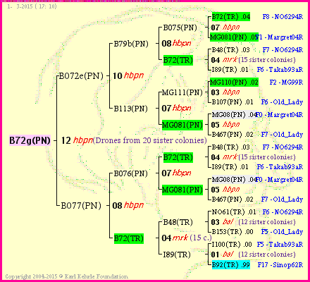 Pedigree of B72g(PN) :
four generations presented