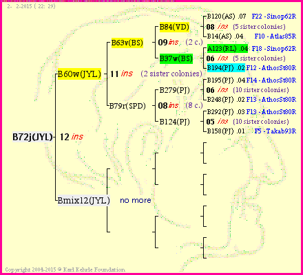 Pedigree of B72j(JYL) :
four generations presented