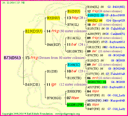 Pedigree of B73(DSU) :
four generations presented