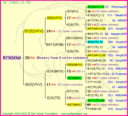 Pedigree of B73(GEM) :
four generations presented
it's temporarily unavailable, sorry!