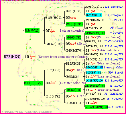 Pedigree of B73(HGS) :
four generations presented
it's temporarily unavailable, sorry!