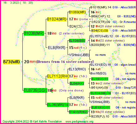 Pedigree of B73(MR) :
four generations presented
it's temporarily unavailable, sorry!