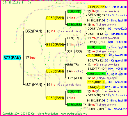 Pedigree of B73(PAN) :
four generations presented
it's temporarily unavailable, sorry!