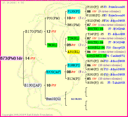 Pedigree of B73(PM)1dr :
four generations presented