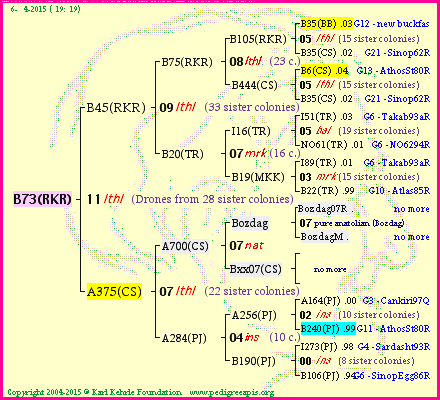 Pedigree of B73(RKR) :
four generations presented