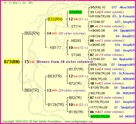 Pedigree of B73(RN) :
four generations presented
it's temporarily unavailable, sorry!