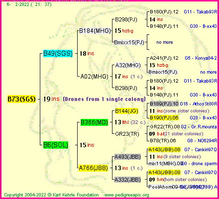 Pedigree of B73(SGS) :
four generations presented
it's temporarily unavailable, sorry!