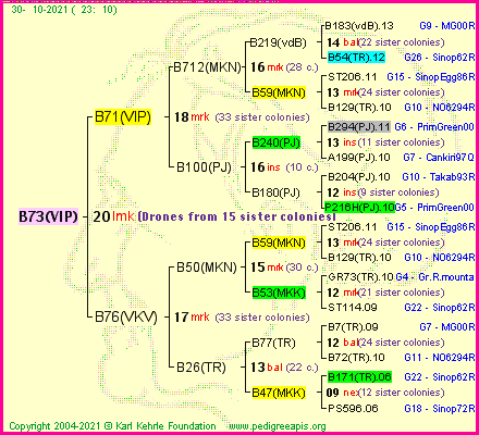 Pedigree of B73(VIP) :
four generations presented
it's temporarily unavailable, sorry!