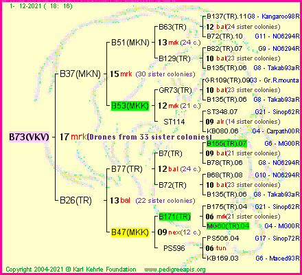 Pedigree of B73(VKV) :
four generations presented
it's temporarily unavailable, sorry!