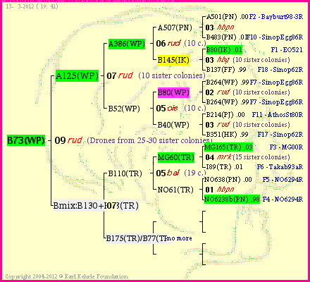 Pedigree of B73(WP) :
four generations presented