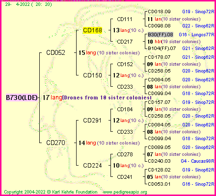 Pedigree of B730(LDE) :
four generations presented
it's temporarily unavailable, sorry!