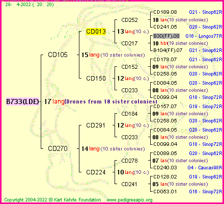 Pedigree of B733(LDE) :
four generations presented
it's temporarily unavailable, sorry!