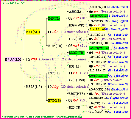 Pedigree of B737(LS) :
four generations presented<br />it's temporarily unavailable, sorry!