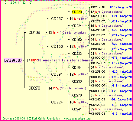 Pedigree of B739(LD) :
four generations presented<br />it's temporarily unavailable, sorry!