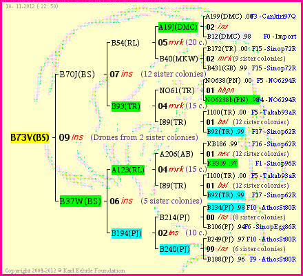 Pedigree of B73V(BS) :
four generations presented