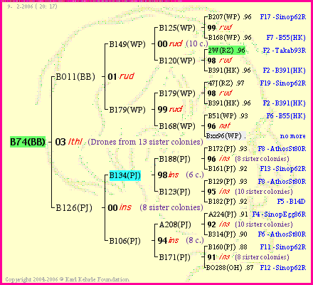 Pedigree of B74(BB) :
four generations presented