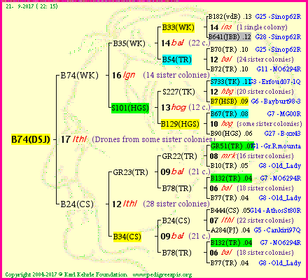 Pedigree of B74(DSJ) :
four generations presented