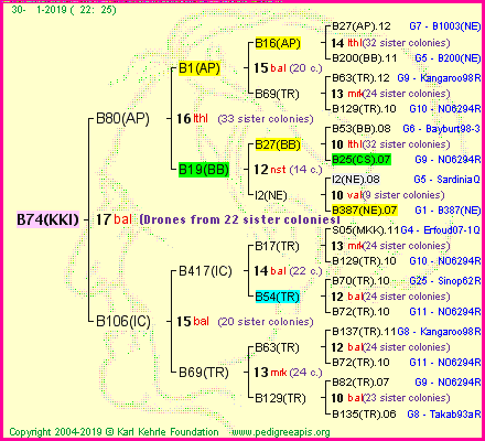 Pedigree of B74(KKI) :
four generations presented<br />it's temporarily unavailable, sorry!