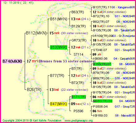 Pedigree of B74(MKN) :
four generations presented<br />it's temporarily unavailable, sorry!