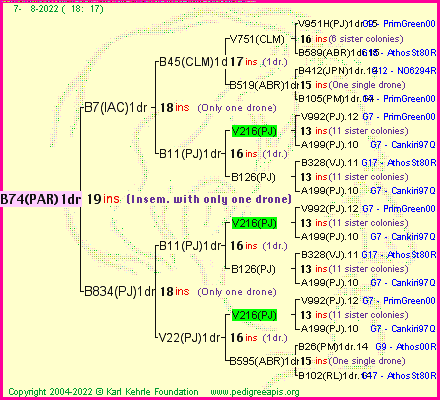 Pedigree of B74(PAR)1dr :
four generations presented
it's temporarily unavailable, sorry!