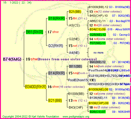 Pedigree of B74(SMG) :
four generations presented
it's temporarily unavailable, sorry!