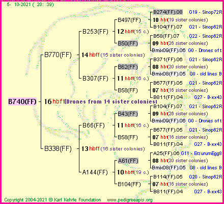 Pedigree of B740(FF) :
four generations presented
it's temporarily unavailable, sorry!