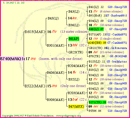 Pedigree of B740(MAK)1dr :
four generations presented