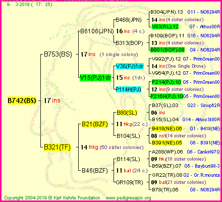 Pedigree of B742(BS) :
four generations presented
it's temporarily unavailable, sorry!