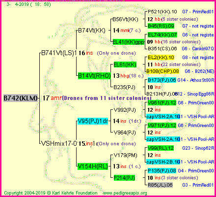 Pedigree of B742(KLM) :
four generations presented<br />it's temporarily unavailable, sorry!