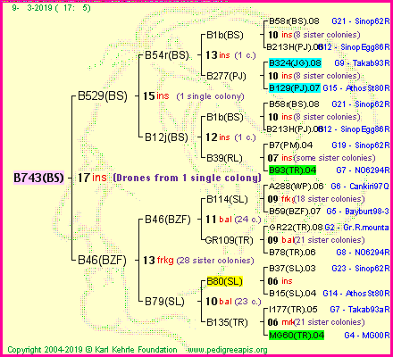 Pedigree of B743(BS) :
four generations presented
it's temporarily unavailable, sorry!