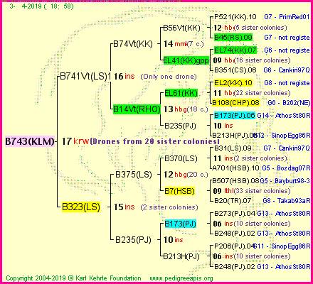 Pedigree of B743(KLM) :
four generations presented<br />it's temporarily unavailable, sorry!