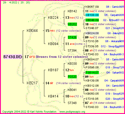 Pedigree of B743(LDE) :
four generations presented
it's temporarily unavailable, sorry!