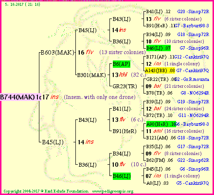 Pedigree of B744(MAK)1dr :
four generations presented