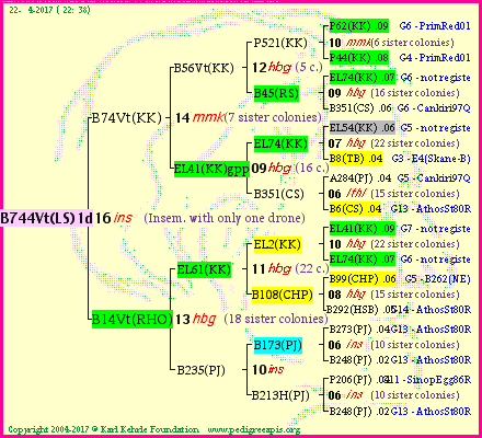 Pedigree of B744Vt(LS)1dr :
four generations presented<br />it's temporarily unavailable, sorry!