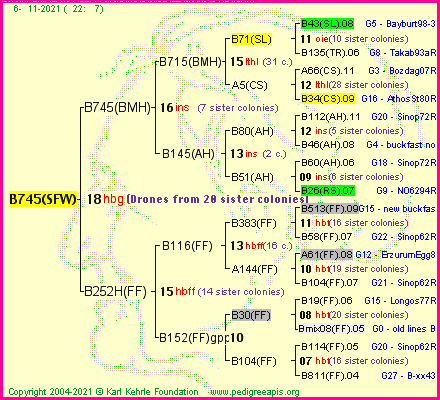 Pedigree of B745(SFW) :
four generations presented
it's temporarily unavailable, sorry!