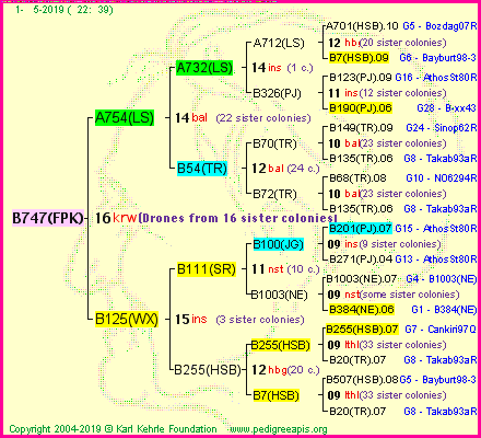 Pedigree of B747(FPK) :
four generations presented<br />it's temporarily unavailable, sorry!