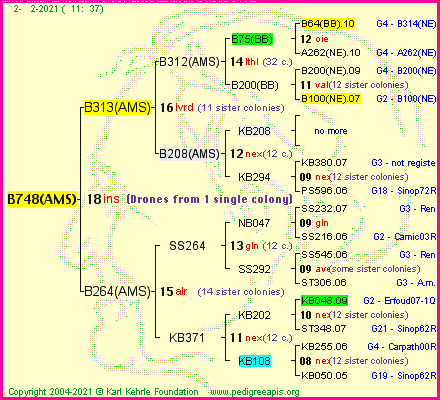 Pedigree of B748(AMS) :
four generations presented
it's temporarily unavailable, sorry!