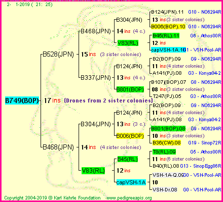 Pedigree of B749(BOP) :
four generations presented
it's temporarily unavailable, sorry!