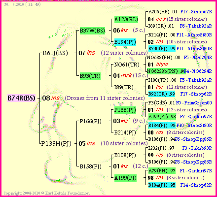 Pedigree of B74R(BS) :
four generations presented