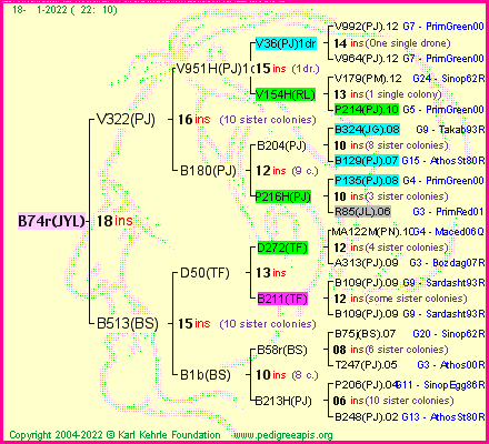 Pedigree of B74r(JYL) :
four generations presented
it's temporarily unavailable, sorry!