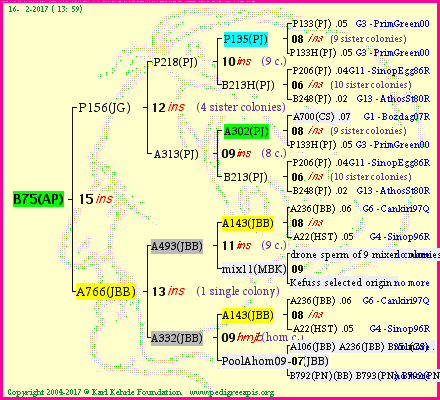 Pedigree of B75(AP) :
four generations presented