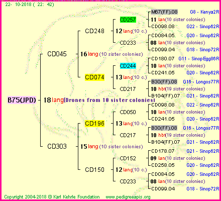 Pedigree of B75(JPD) :
four generations presented
it's temporarily unavailable, sorry!