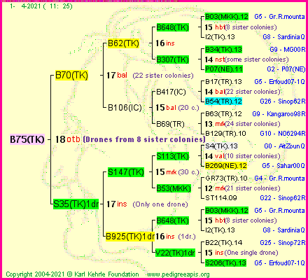 Pedigree of B75(TK) :
four generations presented
it's temporarily unavailable, sorry!