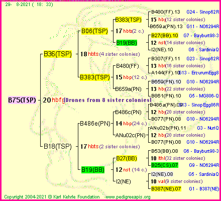 Pedigree of B75(TSP) :
four generations presented
it's temporarily unavailable, sorry!