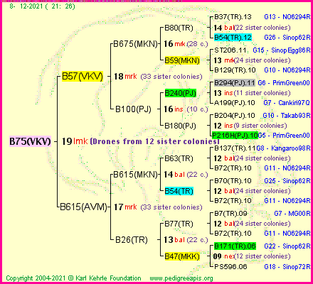 Pedigree of B75(VKV) :
four generations presented
it's temporarily unavailable, sorry!