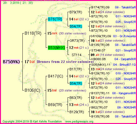 Pedigree of B75(WK) :
four generations presented
it's temporarily unavailable, sorry!