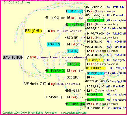 Pedigree of B751(CHU) :
four generations presented<br />it's temporarily unavailable, sorry!