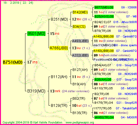 Pedigree of B751(MD) :
four generations presented<br />it's temporarily unavailable, sorry!