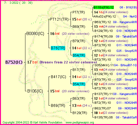 Pedigree of B752(IC) :
four generations presented
it's temporarily unavailable, sorry!